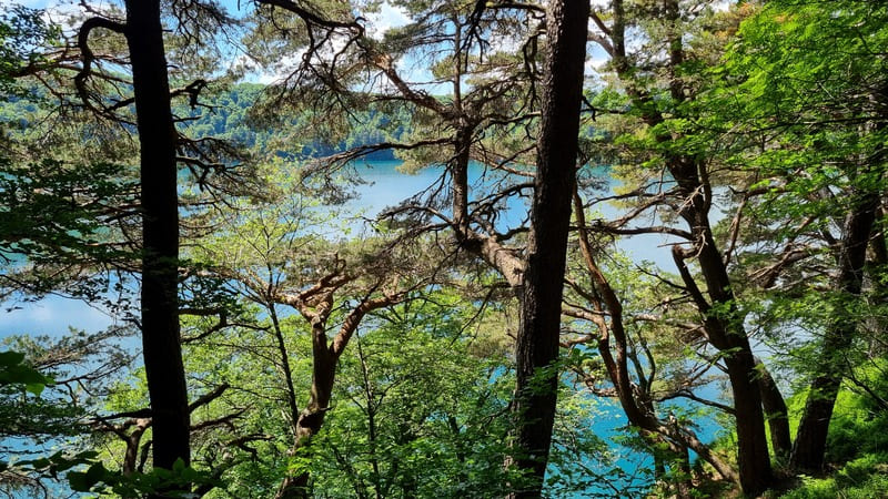 course-lac-pavin (10)