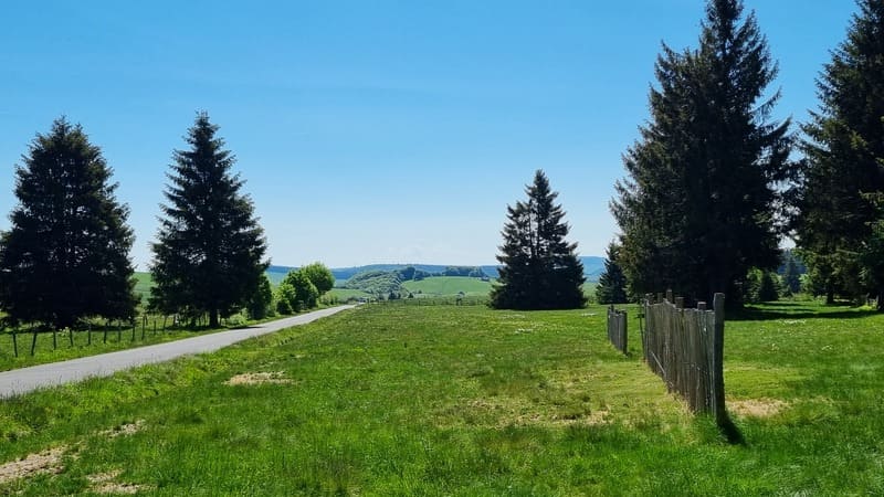 course-lac-pavin (4)