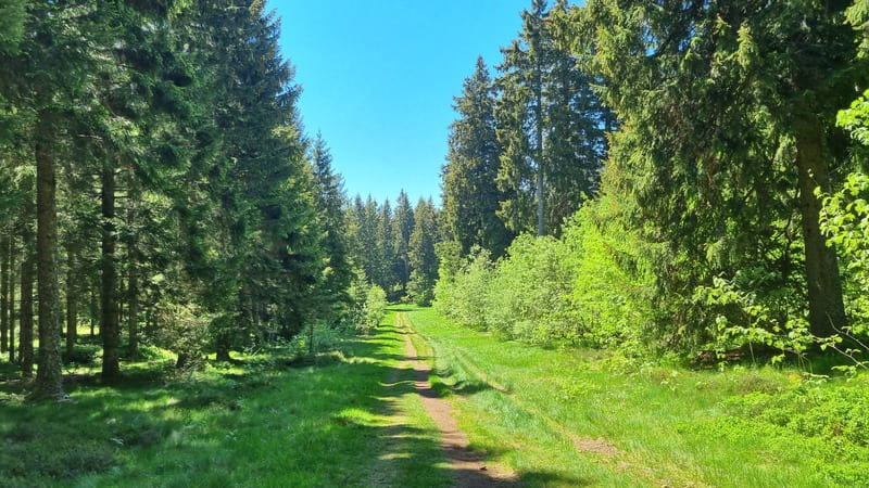 course-lac-pavin (5)