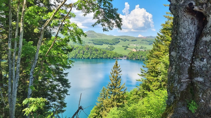 course-lac-pavin (8)