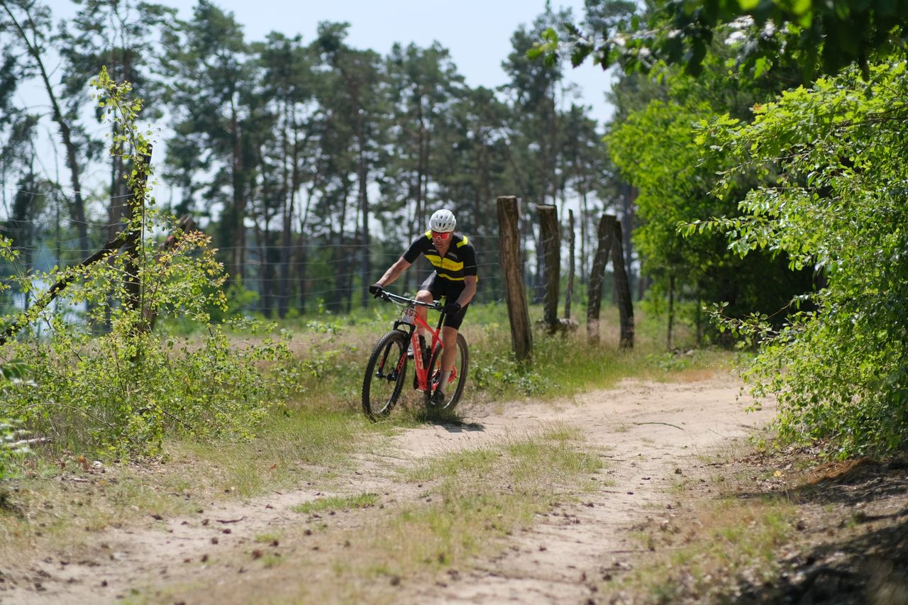 A mountain biker rides through a sunlit forest trail, showcasing outdoor adventure.