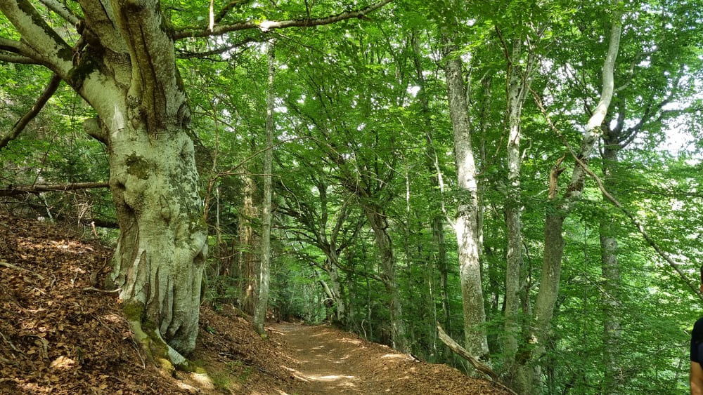 vtt-conviviale (6)